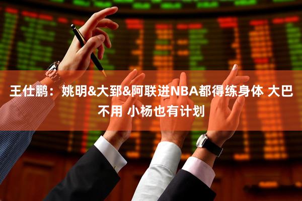 王仕鹏：姚明&大郅&阿联进NBA都得练身体 大巴不用 小杨也有计划