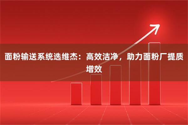 面粉输送系统选维杰：高效洁净，助力面粉厂提质增效